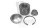 BREDA  LORETT KRT8120 Wheel Bearing Kit